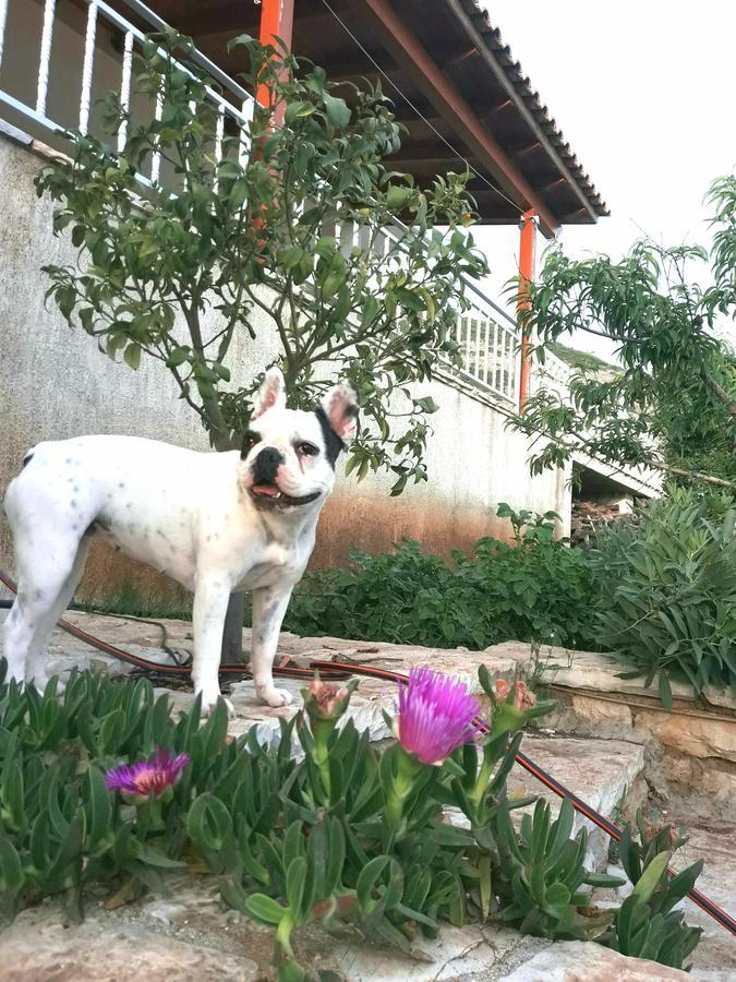 Sunset Villas Qeparo Ngoại thất bức ảnh